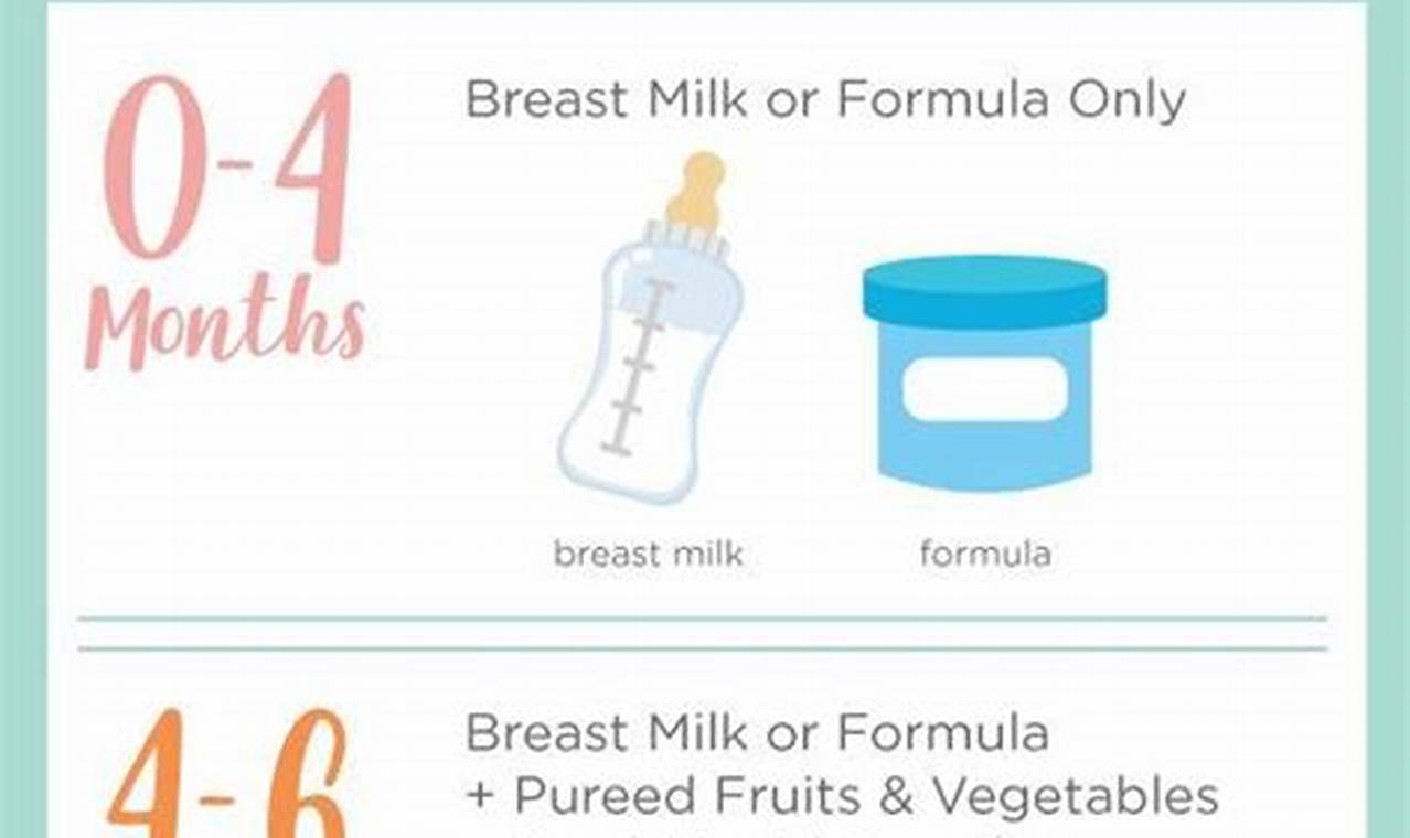 Newborn baby food introduction grains and cereals