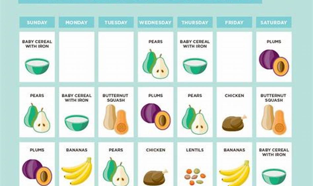 Newborn baby food introduction schedule