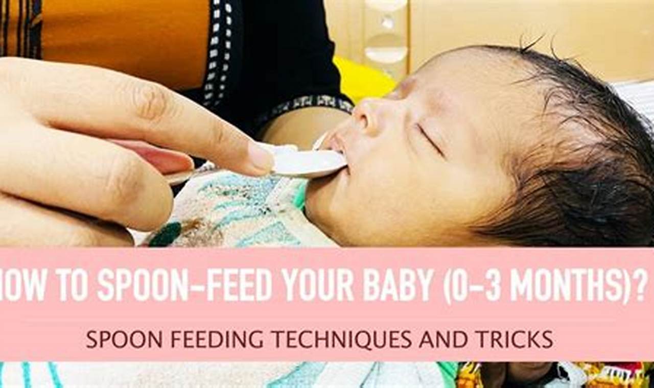 Newborn baby food introduction spoon-feeding techniques