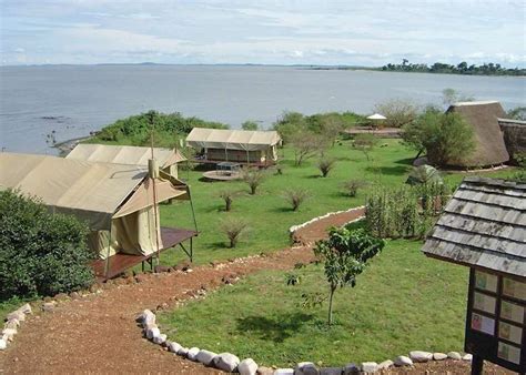 Ngamba Island facilities