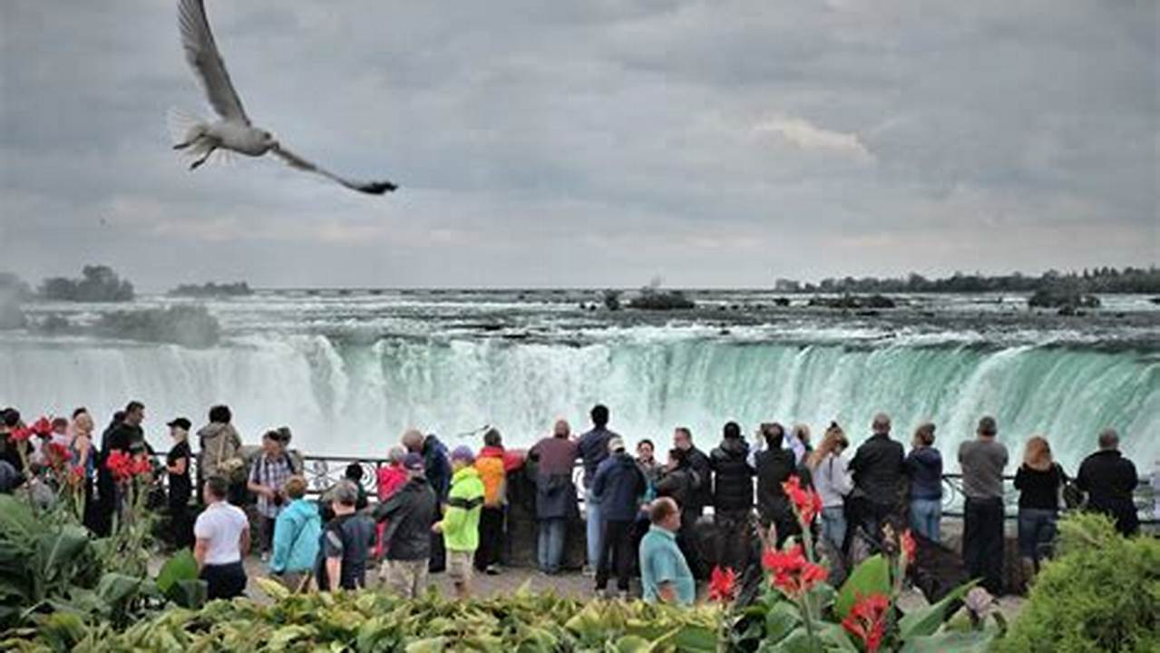 Niagara Fall Open Time 2025