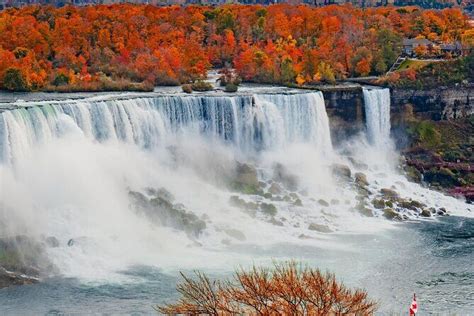 Niagara Falls Maple Tasting