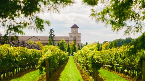 Niagara Winery