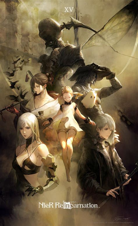 Nier perfection