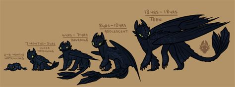 Night Fury Age Chart