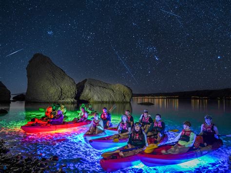 Night Kayak Tour