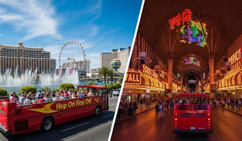 Night Tour vs Day Tour