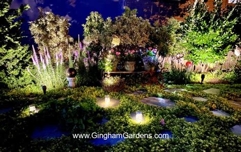 Nighttime Gardens