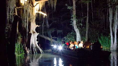 Nighttime Swamp Tour