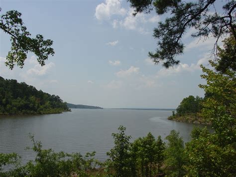 Nimrod Lake Level