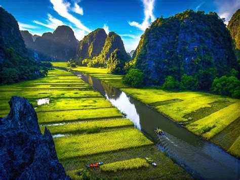 Ninh Binh fields