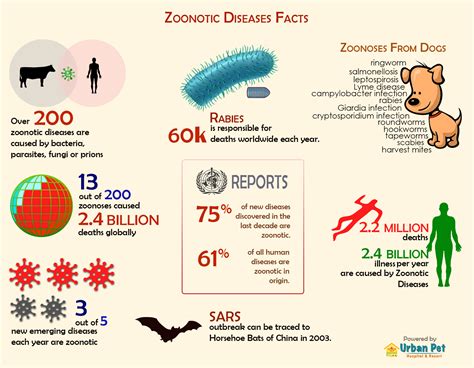Nipah Virus: Understanding A Dangerous Zoonotic Disease