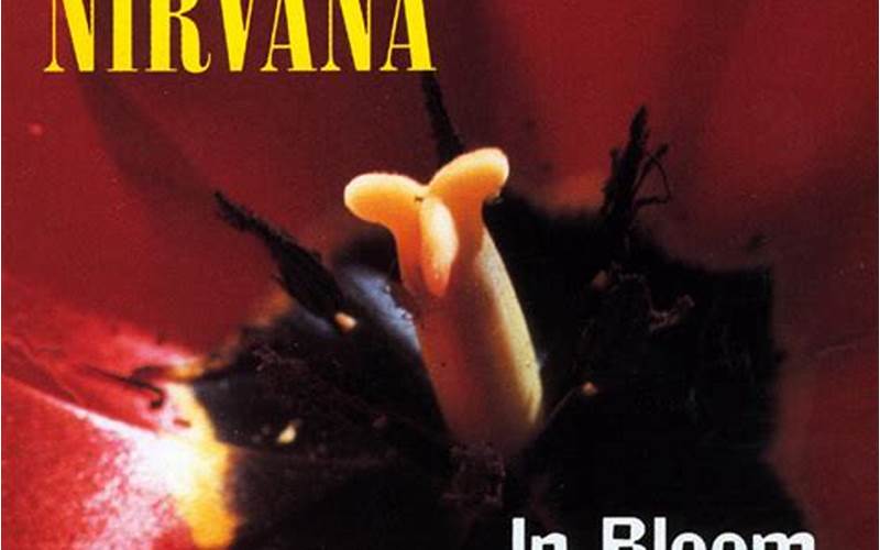 Nirvana In Bloom Album Cover