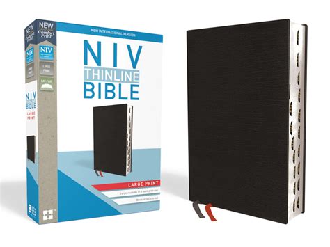 Niv Thinline Bible Large Print
