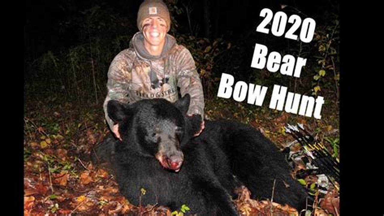 Nj Bear Hunt Results 2024