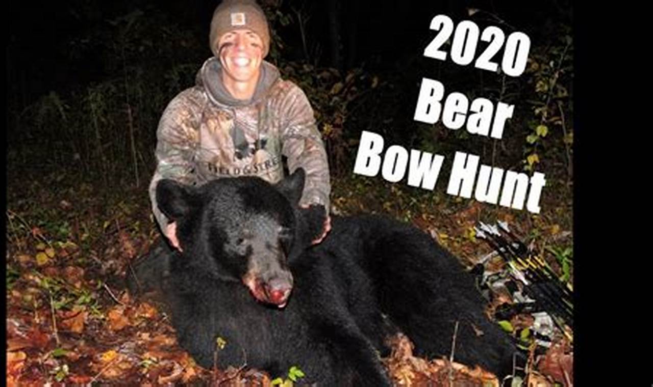 Nj Bear Hunt Results 2024