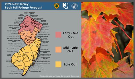 Nj Fall Foliage 2024 Map
