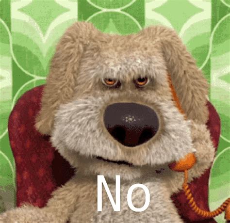 No Dog Meme