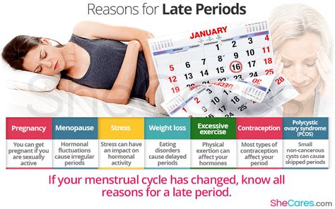 Breaking the Monthly Cycle: Discover the Crucial Reasons Behind No Period For 2 Months