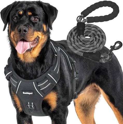 No Pull Harness For Large Dogs