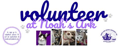 Noah'S Ark Volunteer Program