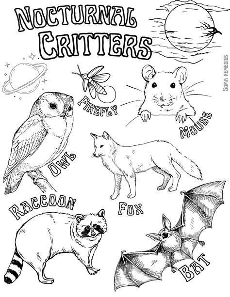 Discover the Beauty of Nocturnal Creatures with our Captivating Animal Coloring Pages