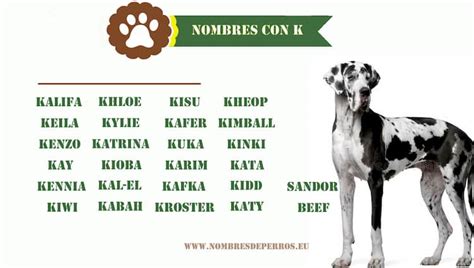 500 NOMBRES para PERROS PEQUEÑOS ︎2021 ︎