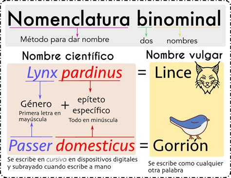 Nomenklatur Binomial: Pentingnya Mengetahui Sistem Penamaan Ilmiah