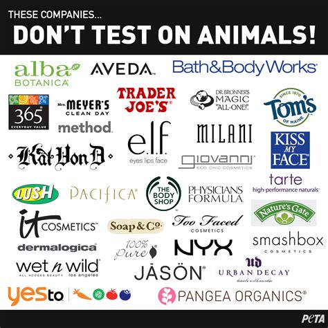 Non Animal Tested Makeup