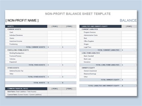 Non Profit Balance Sheet Template