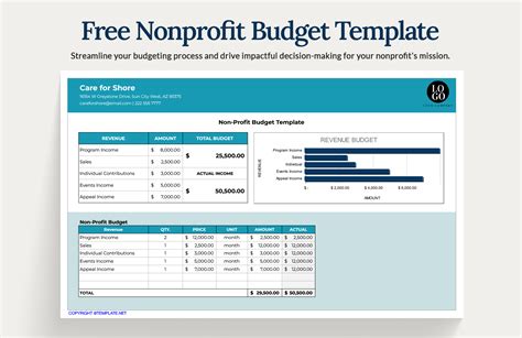 Non Profit Budget Template Excel