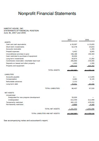 Non Profit Financial Statements Template