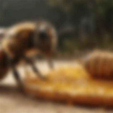 Non-Lethal Removal Strategies