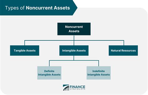 Noncurrent Assets