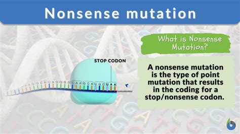 Unlocking the Mystery: Exploring Nonsense Mutation in Biology