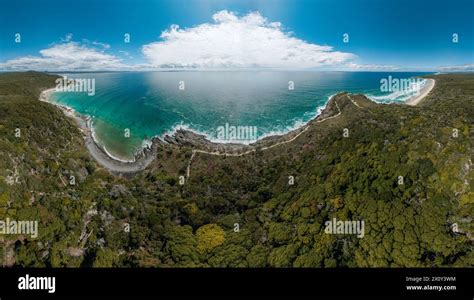 Noosa River Ecosystem