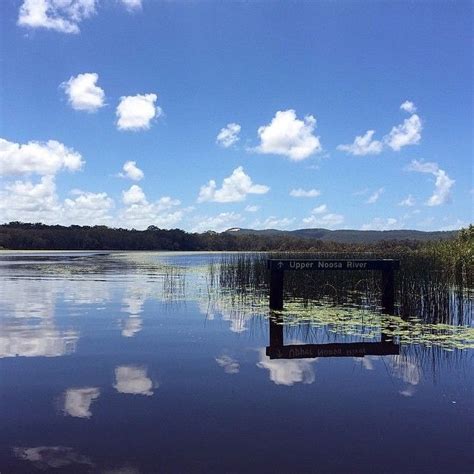 Noosa River Reflections