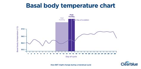 Normal Basal Body Temperature Chart