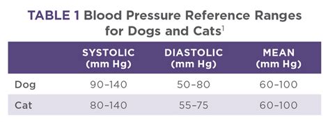 Understanding the Normal Blood Pressure of Your Canine Companion for Optimum Health and Longevity: A Comprehensive Guide