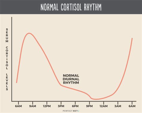 Normal Cortisol Level Chart