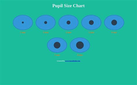 Normal Pupil Size Chart
