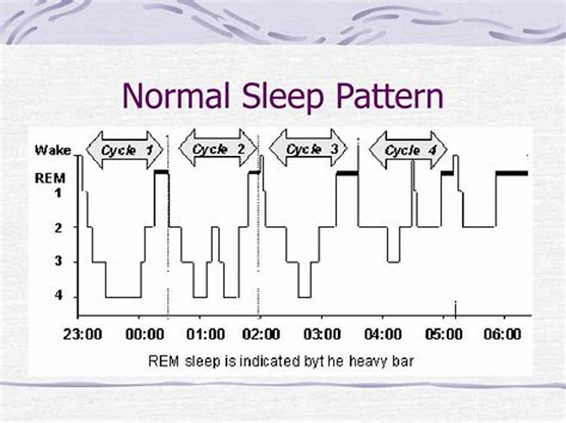 Normal Sleep Pattern Graph