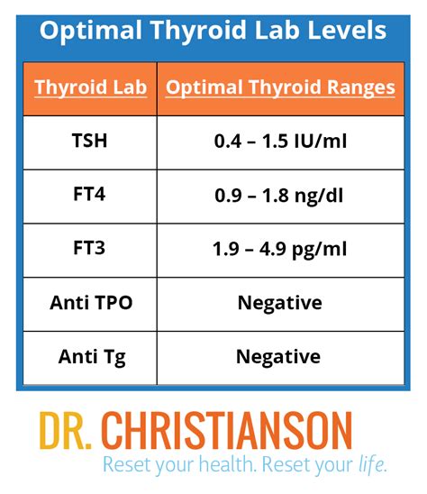 Normal TSH Thyroid