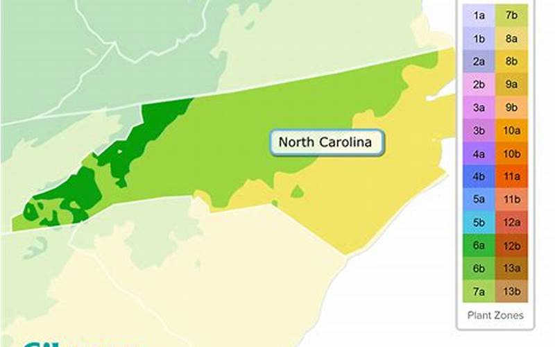 North Carolina Planting Zone Map Zones