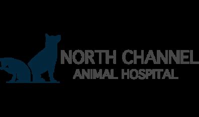 North Channel Animal Hospital: Your Reliable Partner in Ensuring Your Pet's Health and Well-Being