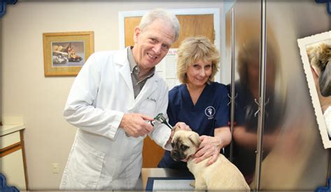 Top-Notch Veterinary Care at North Colony Animal Hospital in Wallingford CT