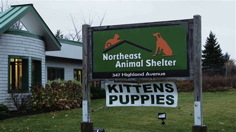 North East Animal Shelter