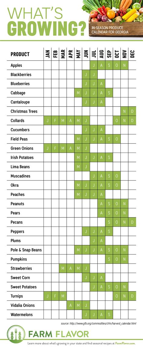 North Florida Vegetable Planting Calendar