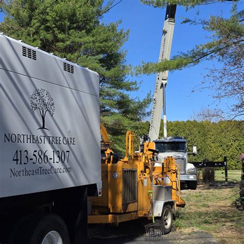 Northeast Tree And Landscape: Your Ultimate Guide To Tree And Landscape Care