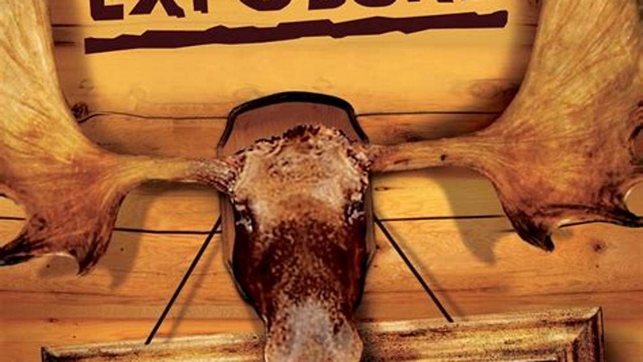 Northern Exposure Streaming 2024